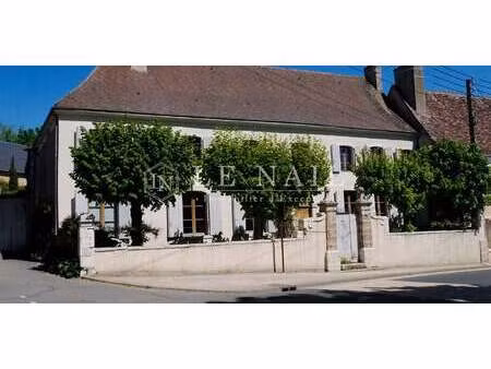 maison avec jardin et terrasse neuvy-saint-sépulchre (36)