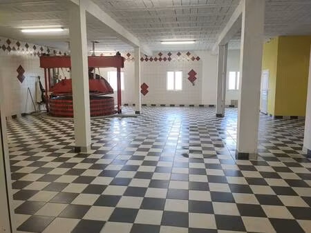 vente immeuble viager 423 m² chavot-courcourt (51530)