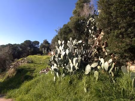 joli terrain aux portes d’ajaccio exposé sud avec vue dégagée.