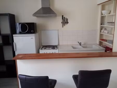 location appartement 1 pièce 16 m² à le mans (72000)