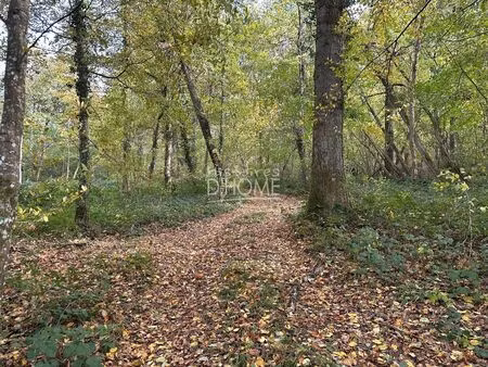 vente terrain 50246 m² saint-siméon (77169)