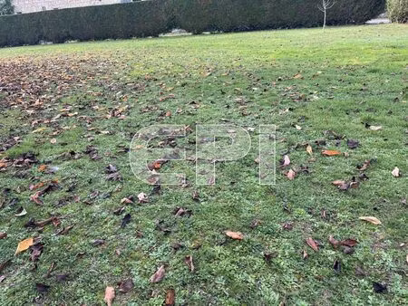 vente terrain 1326 m² montreuil-bellay (49260)