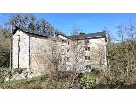 moulin d’exception  2 iles  revenu potentiel - prix négociable - charroux