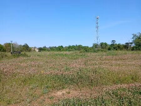 en vente terrain constructible 230 ares – 70 000 € |saint-martin-de-ribérac