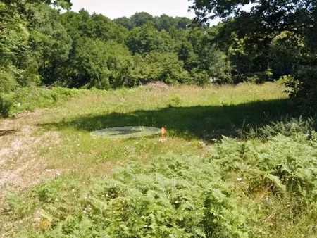 vente terrain 670 m² à chitenay (41120)  45 000 €