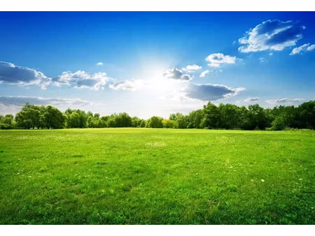 vente terrain 670 m² à la chapelle-saint-martin-en-plaine (41500)  38 000 €