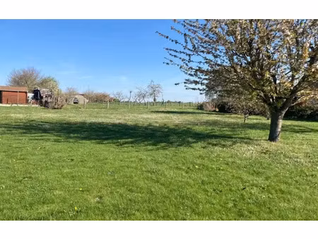 vente terrain 800 m² à chaumont-sur-loire (41150)  45 000 €
