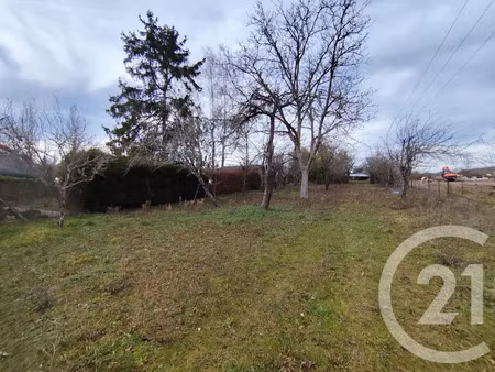 vente terrain à batir 1513 m² à montgivray (36400)  19 000 €