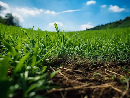 vente terrain 3000 m² à montrem (24110)  33 000 €