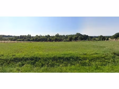 vente terrain 950 m² à villiers-au-bouin (37330)  32 000 €