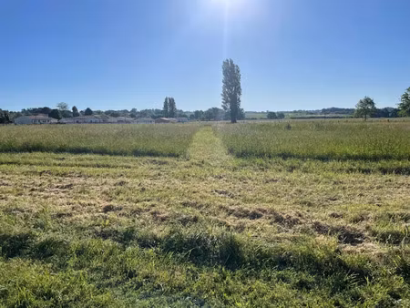 vente terrain 900 m² à boisredon (17150)  27 000 €