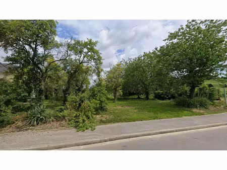 vente terrain 383 m² à jonchery-sur-vesle (51140)  40 000 €