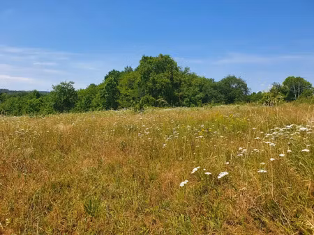 vente terrain 700 m² à montlieu-la-garde (17210)  26 000 €