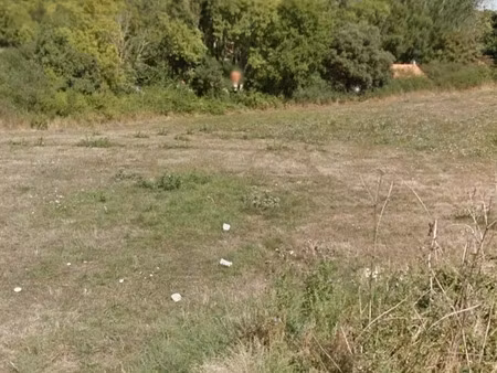 vente terrain 772 m² à muides-sur-loire (41500)  43 000 €