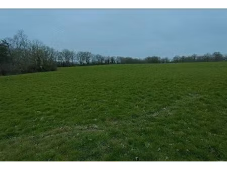 vente terrain 649 m² à cormeray (41120)  44 000 €