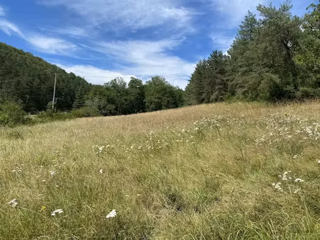 vente terrain 1300 m² à castels (24220)  53 800 €