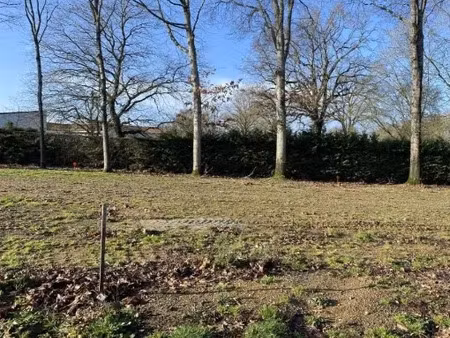 vente terrain 1438 m² à chitenay (41120)  65 000 €