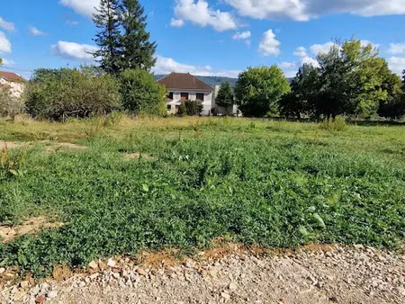 vente terrain 621 m² à rioz (70190)  76 299 €