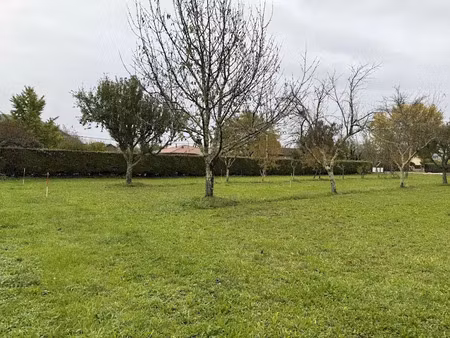 vente terrain 750 m² à saint-cyprien (24220)  55 500 €