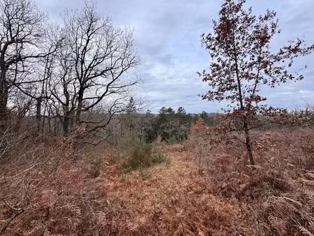 vente terrain 6721 m² à perigueux (24000)  79 000 €