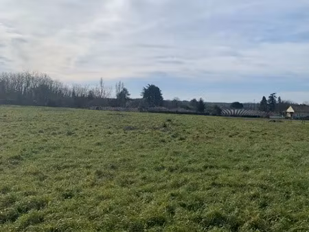 vente terrain 1043 m² à saint-maixant (33490)  75 000 €