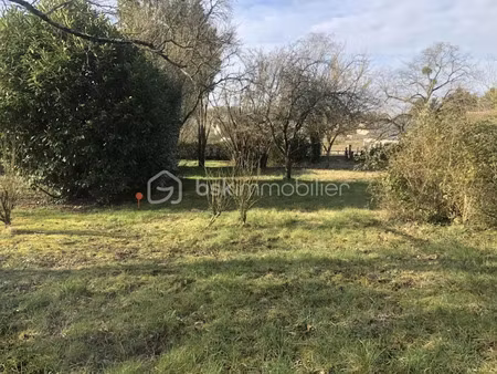 vente terrain 641 m² à truyes (37320)  78 000 €