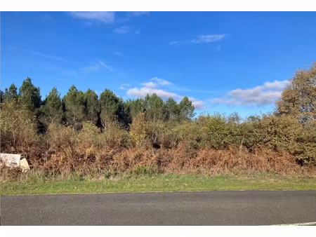 vente terrain 860 m² à balizac (33730)  69 000 €