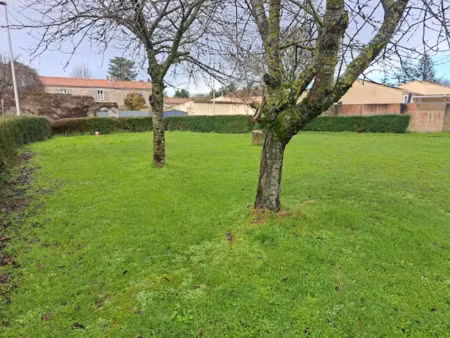 vente terrain à batir 444 m² à bourgneuf (17220)  156 600 €