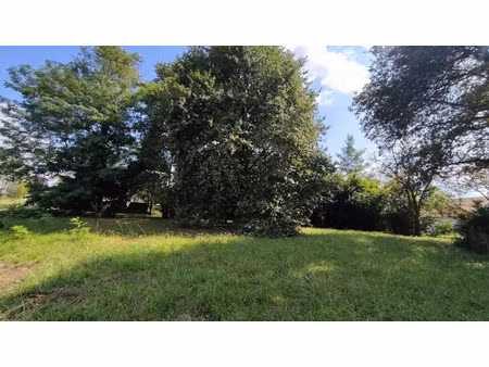 vente terrain 1649 m² à peyrehorade (40300)  109 000 €