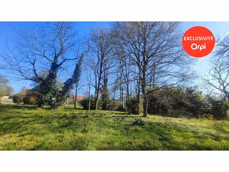 vente terrain 1649 m² à peyrehorade (40300)  97 000 €
