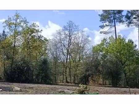 vente terrain 1000 m² à la brède (33650)  225 000 €
