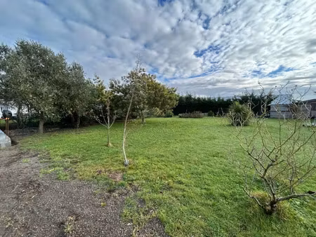 vente terrain 530 m² à l'ile-d'olonne (85340)  99 000 €