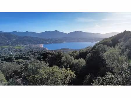 vente terrain 2400 m² à olmeto (20113)  450 000 €