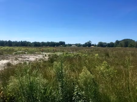 vente terrain 362 m² à le barp (33114)  113 000 €