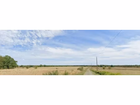 vente terrain 1000 m² à pibrac (31820)  120 000 €
