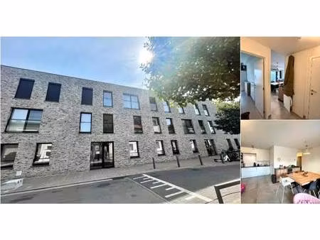 appartement à louer à hollebeekstraat 119 hoboken (rbv04602)