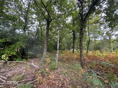 vente terrain 2019 m² à grayan-et-l'hôpital (33590)  132 000 €