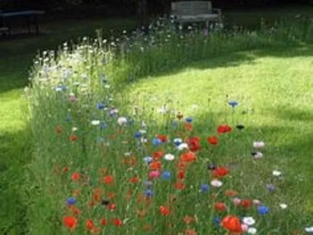 vente terrain 741 m² à savonnieres (37510)  135 000 €