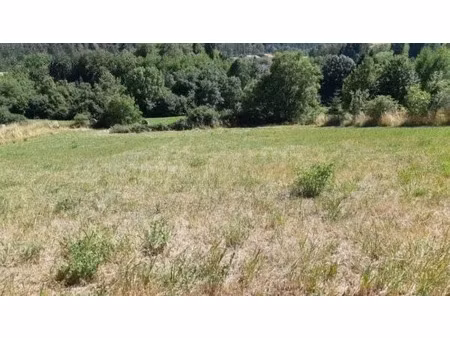 vente terrain à batir 2780 m² à belcaire (11340)  145 000 €