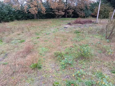 vente terrain 580 m² à biganos (33380)  175 000 €