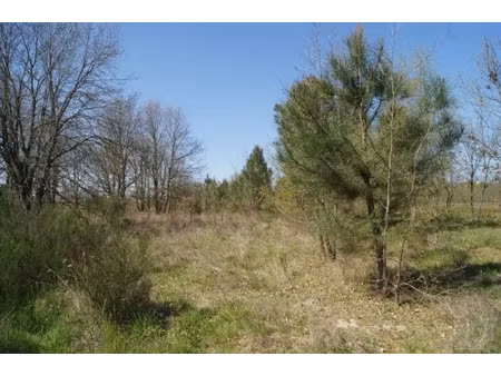 vente terrain 900 m² à le barp (33114)  170 000 €