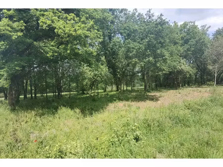 vente terrain 600 m² à martillac (33650)  175 000 €