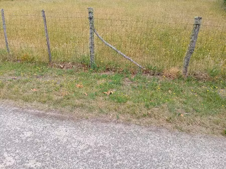 vente terrain 1000 m² à sanguinet (40460)  180 000 €