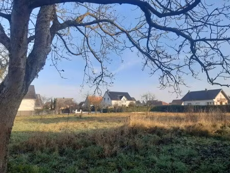 vente terrain 750 m² à obersaasheim (68600)  165 000 €