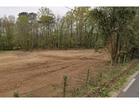 vente terrain 2800 m² à bonnetan (33370)  228 000 €