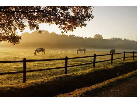 vente locaux professionnels 89806 m² à valence (26000)  280 000 €