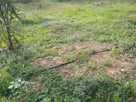 vente terrain 491 m² à aubagne (13400)  285 000 €