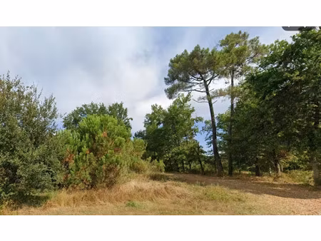 vente terrain 2000 m² à arsac (33460)  267 500 €