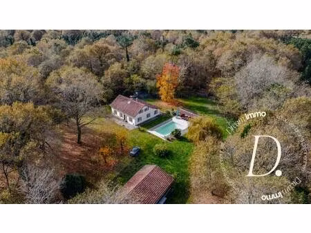 havre de paix isolé dans la forêt landaise