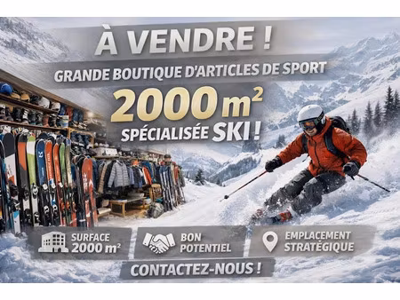 vente locaux professionnels 2000 m² à cluses (74300)  1 050 000 €